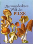 die-wunderbare-welt-der-pilze